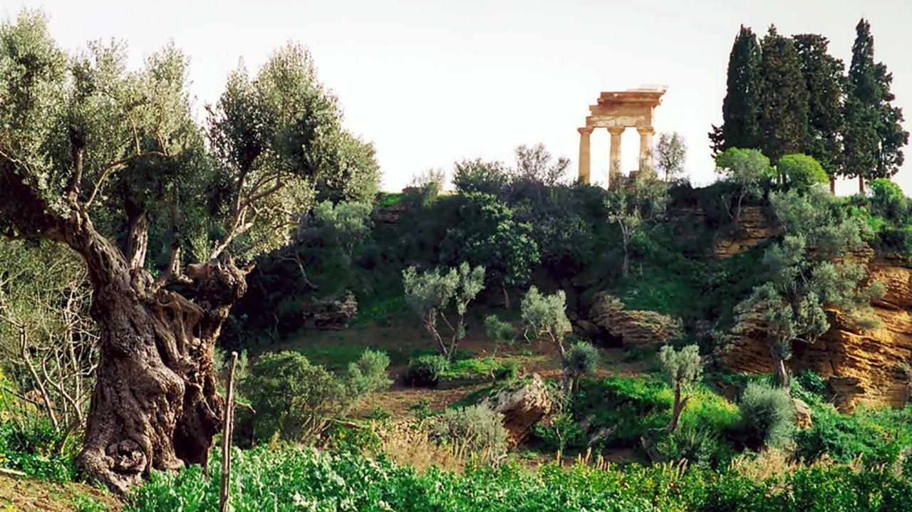 La Citta Degli Dei Bed & Breakfast Agrigento Exterior photo